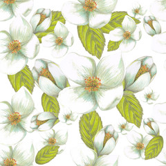 Fototapety  white flowers pattern
