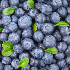 blueberries