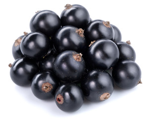 black currant