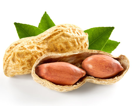 Peanuts
