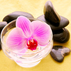 Massage Stones with Orchid.
