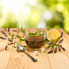 cup of tea and mint branches on the table