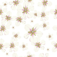 Apple flowers pattern