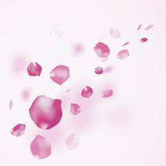 Vector background with flying petals