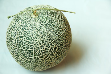 Melon fruit