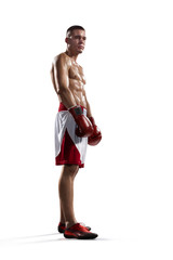 Professionl boxer is isolated on white