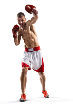 Professionl Boxer Is Isolated On White