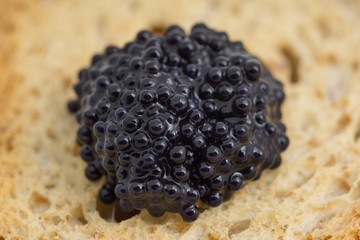 Macro of caviar over piece of toast