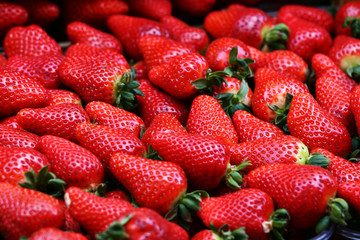 Fresh organic strawberries