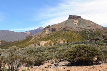 El Teide national park at Tenerife (Spain)