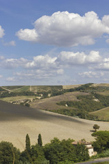 Tuscany landscape in a sunny day 