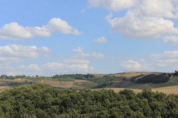 Fototapeta na wymiar Tuscany landscape in a sunny day 