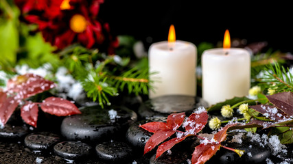 winter spa still life of red leaves with drops, snow, evergreen