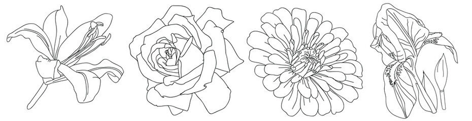 flowers rose pattern