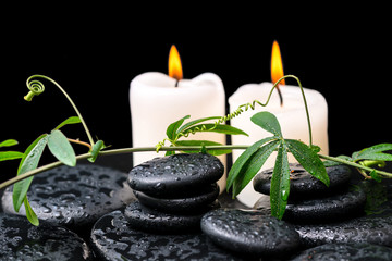 spa concept of green twig with tendril passionflower with drops