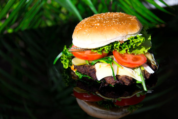 Selbstgemachter Burger
