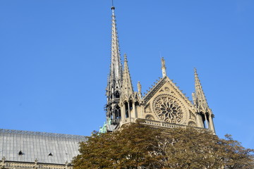 NOTRE DAME DE PARIS