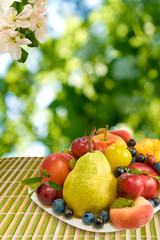 different fruits on green background