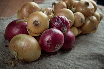 Hanging bunch bundle of onion