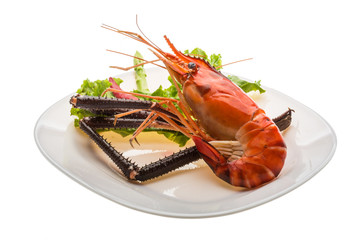 Giant Freshwater Prawn