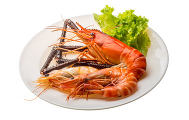 Giant Freshwater Prawn and king prawns