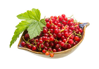 Red currant