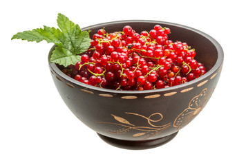 Red currant