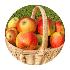Äpfel