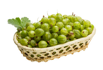 Gooseberry