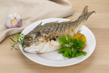 Grilled dorado