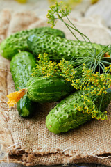Fresh cucumber