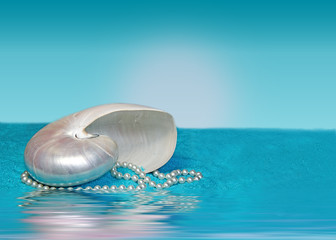 Obraz na płótnie Canvas Nautilus Sea-Shell on Blue Crystal Sand