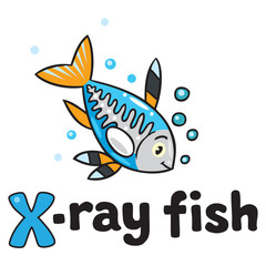 X-ray fish for ABC. Alphabet X