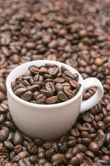 Fototapeta premium coffee