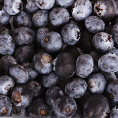 a pile of blueberries