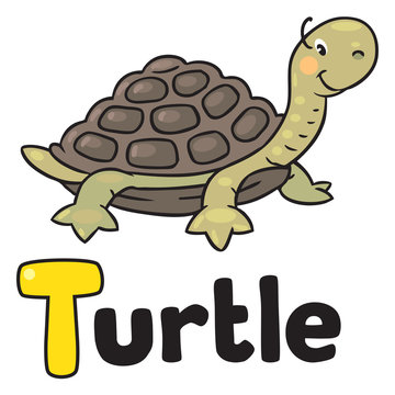 Little funny turtle, for ABC. Alphabet T