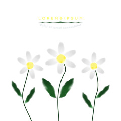 Chamomile in watercolor style. Vector.