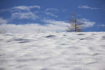inverno in valle Maira