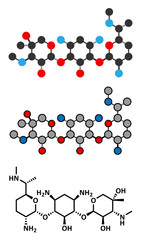 Gentamicin antibiotic drug (aminoglycoside class) molecule.