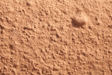 bumped plaster texture background in sunglight
