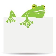 green frog