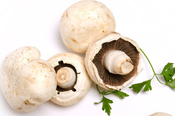 green parsley and mushrooms