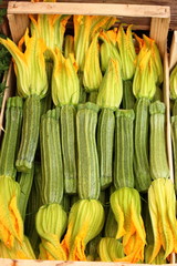 Zucchinis with flowers