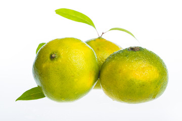 tangerine isolated on white background