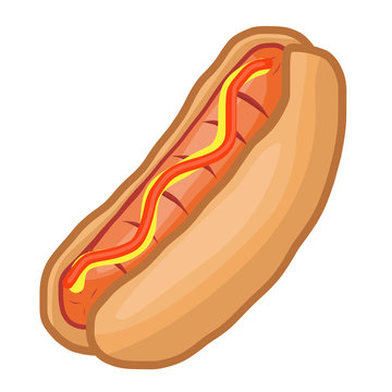 hot dog isolated illustration