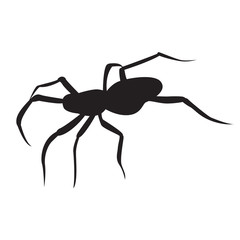Black spider Silhouette isolated illustration