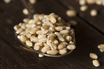 Raw Organic Barley Grain
