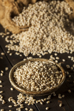 Raw Organic Barley Grain