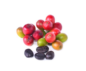 Fresh coffee beans with white background