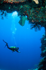 Diver swimming around in Banda, Indonesia underwater
